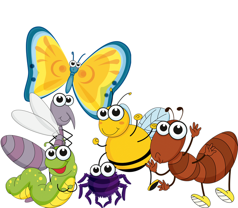 https://www.mundobichitos.cl